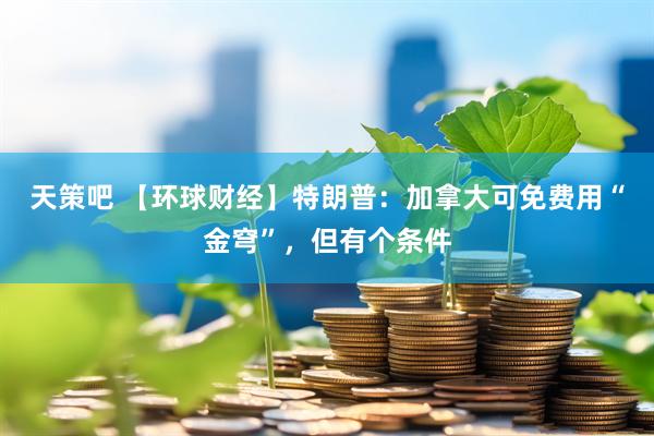 天策吧 【环球财经】特朗普：加拿大可免费用“金穹”，但有个条件
