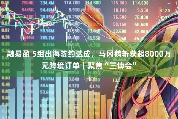 融易盈 5组出海签约达成，马冈鹅斩获超8000万元跨境订单｜聚焦“三博会”