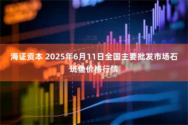 海证资本 2025年6月11日全国主要批发市场石斑鱼价格行情