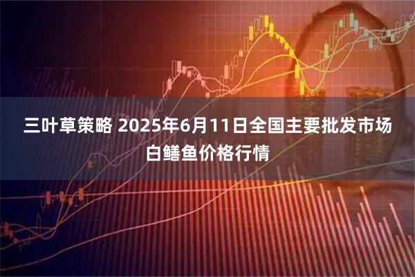 三叶草策略 2025年6月11日全国主要批发市场白鳝鱼价格行情