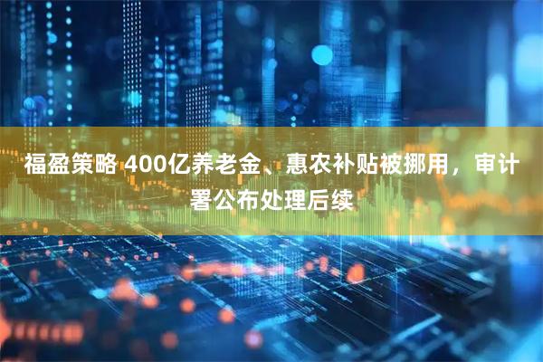 福盈策略 400亿养老金、惠农补贴被挪用，审计署公布处理后续
